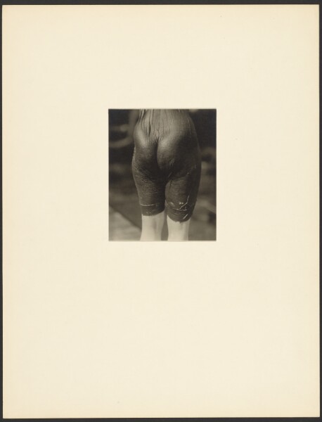Alfred Stieglitz, Ellen Koeniger, Lake George