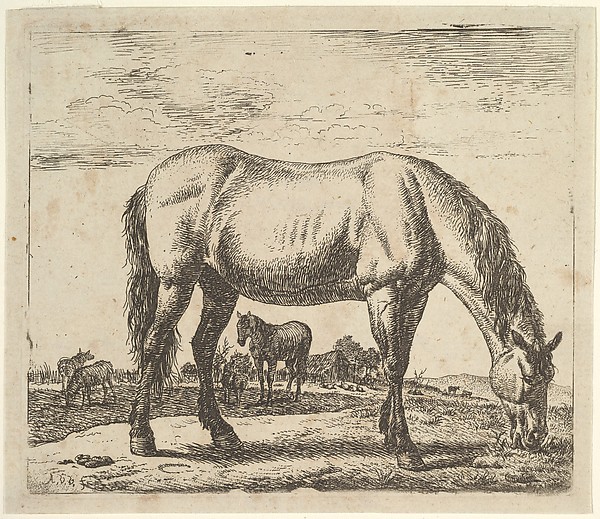 Adriaen van de Velde, Grazing Horse, plate 7 from "Different Animals"