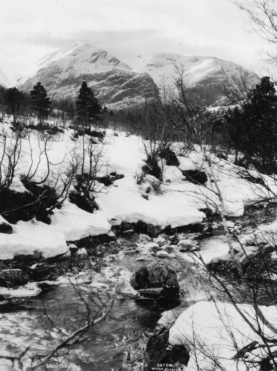 Anders Beer Wilse, Topografi