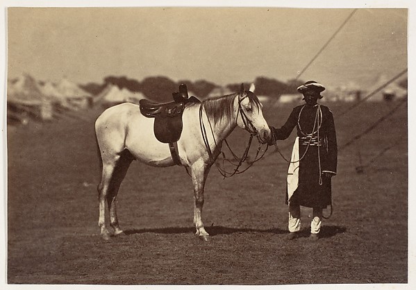 Unknown, [Lady Cannings Grey Arab]