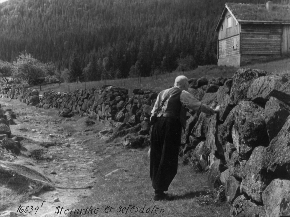 Anders Beer Wilse, Steingjerde