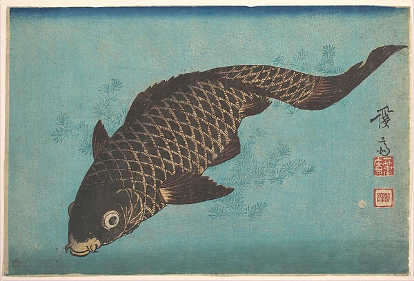 Keisai Eisen, Koi