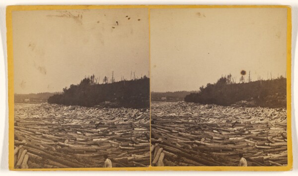 Unknown, [Log Jam S.W. Del.]