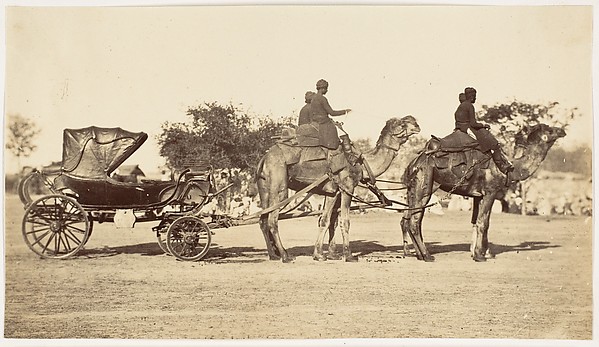 Unknown, [ A Travelling Camel Carriage from Lahore to Peshawar, Governor General's Camp]