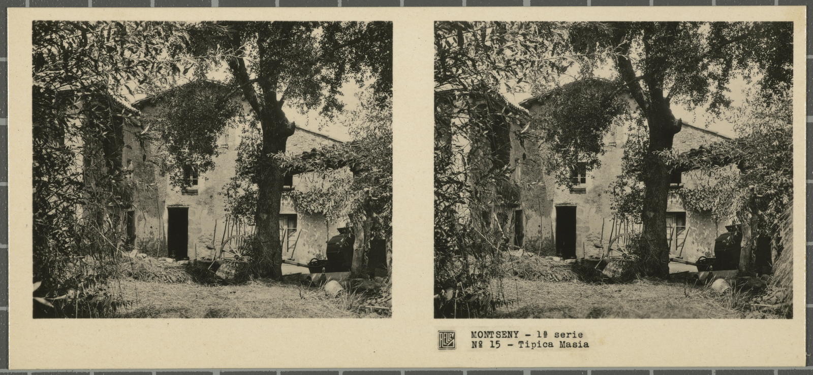 Desconegut, Montseny (Barcelona-Gerona)