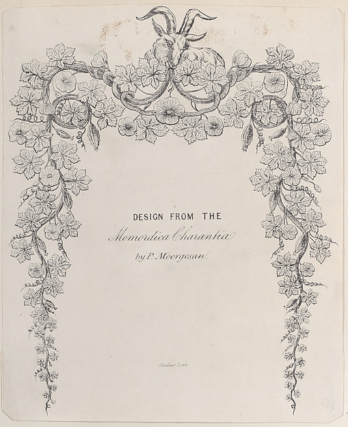 Anonymous, British, 19th century, Design from the Momordica Charantia by P. Moorgesan
