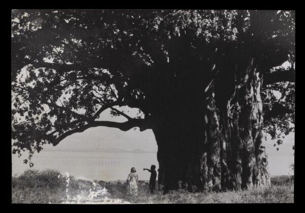 Hinde, John Wilfrid, Two Figures Beneath a Tree