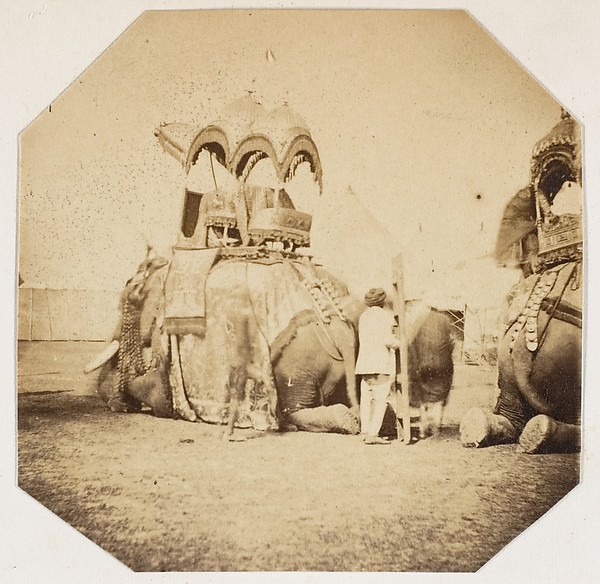 Unknown, [Maharajah Putteala's State Elephant]