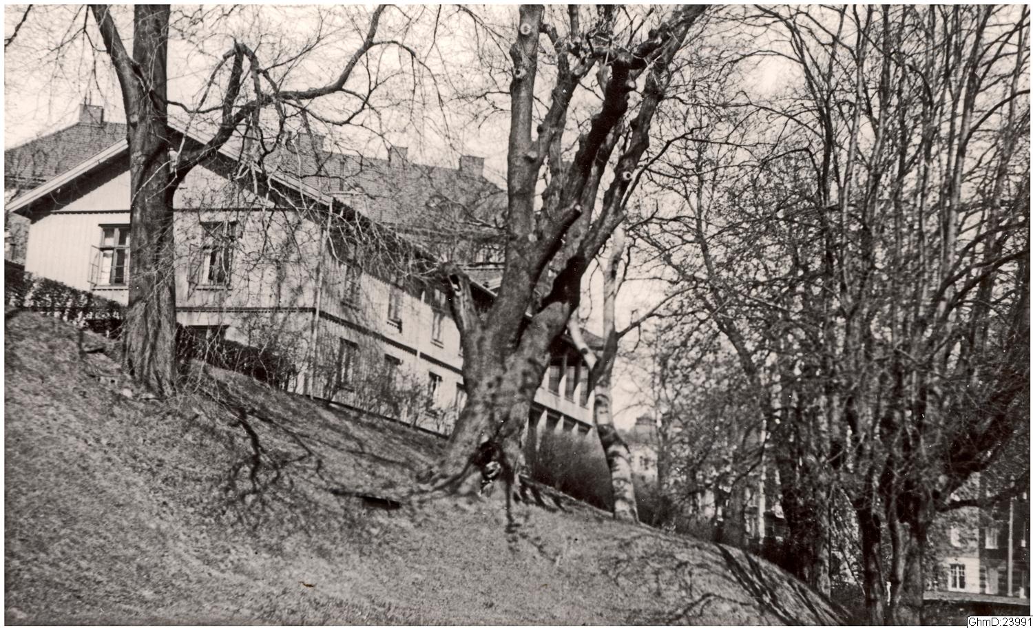 Hjalmar Wijk, fotografi, påsiktsbild, bilder