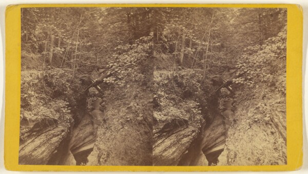 Edward and Henry T. Anthony & Co., Artists' Dream, from the Bridge, (looking East) Glen Arcadia. Sec. No. 6.
