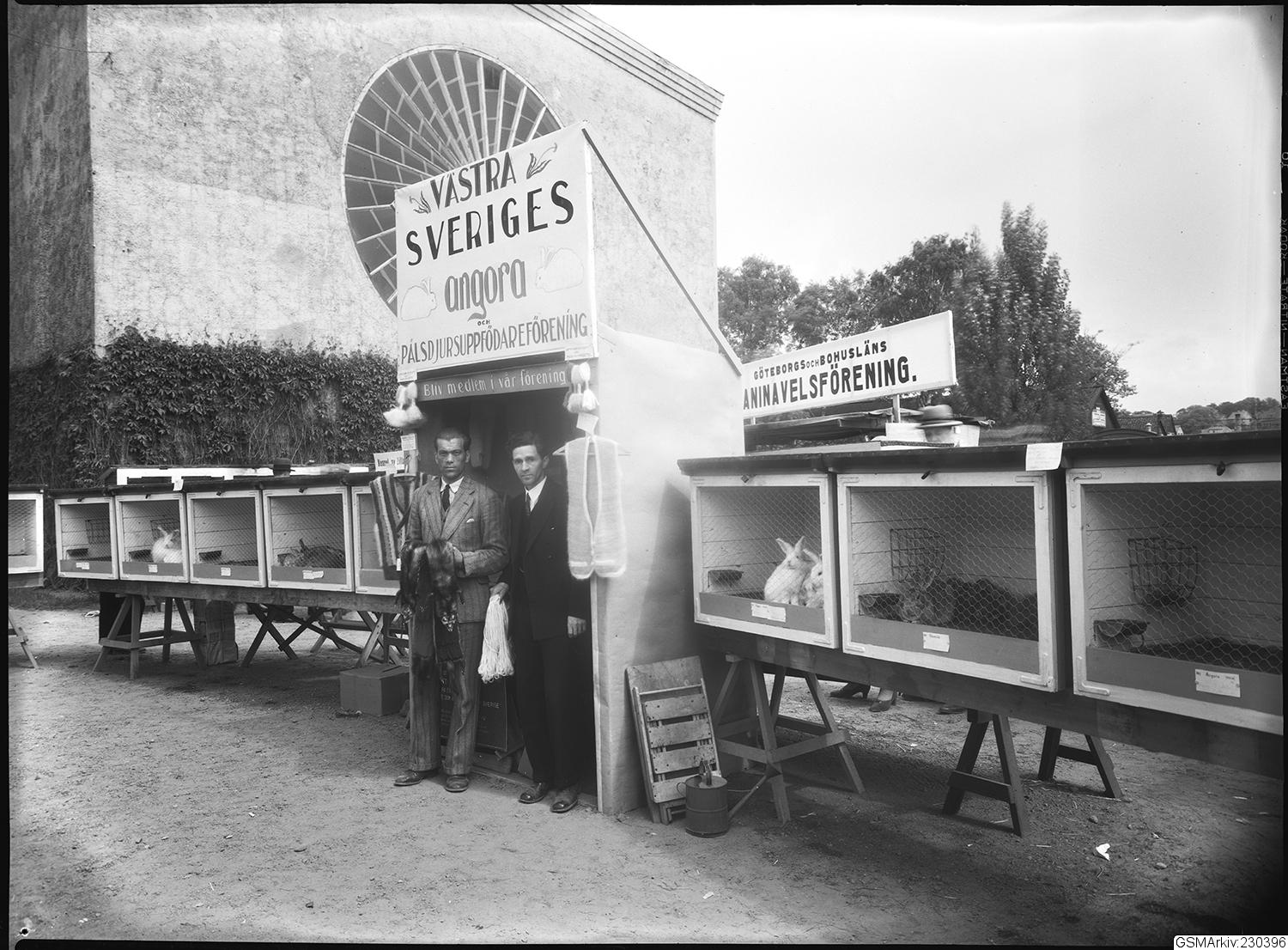 Sven Sjöstedt, bilder, fotografi, genomsiktsbild
