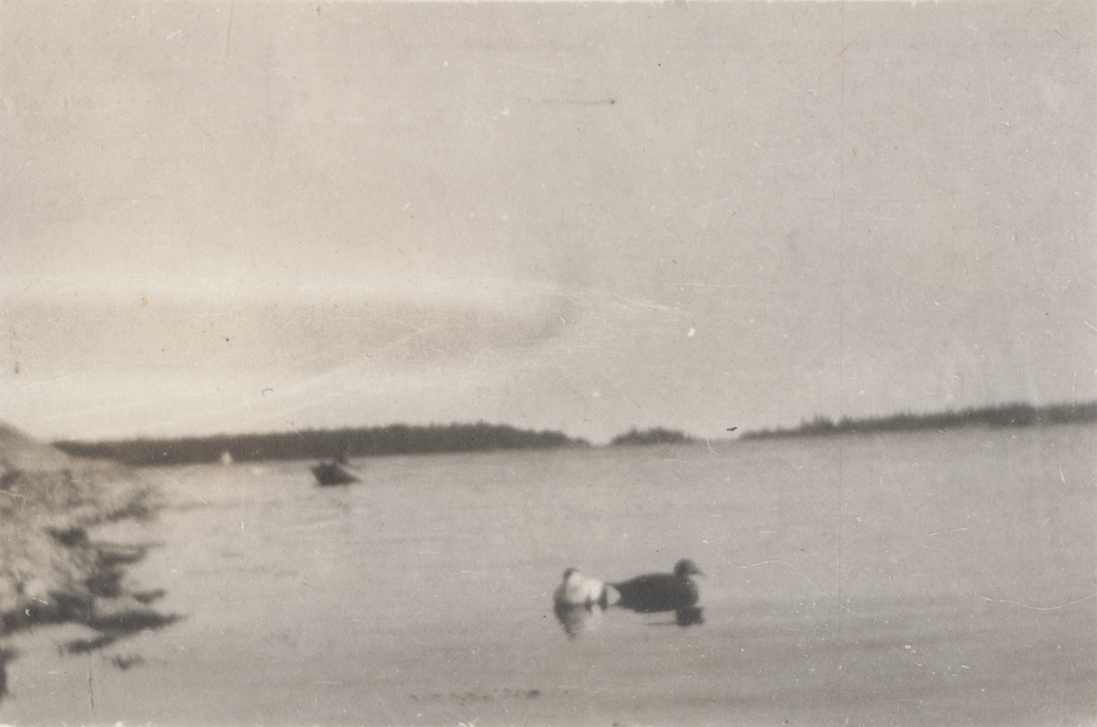 Unknown artist, Archipelago view.