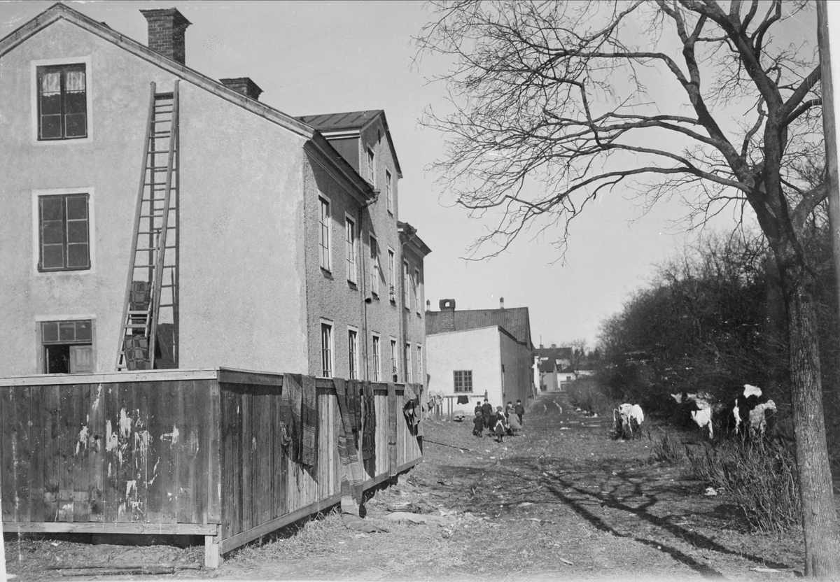 Alfred Dahlgren, Stadsmiljö i Uppsala 1908