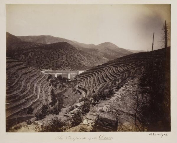Unknown, Photograph