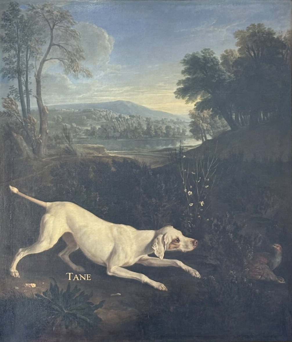 Alexandre-François Desportes, Tane, chienne de Louis XIV, arrêtant deux perdrix