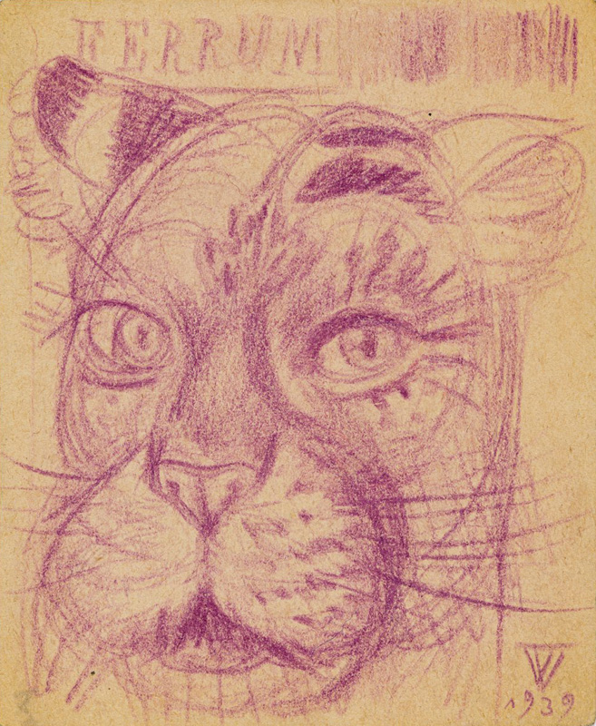 Eduard (autor) Wiiralt, Tiger head. sketch