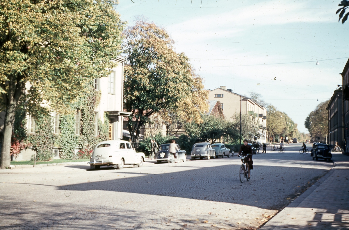 Egil Torgny, Skaraborgsgatan mot öster.