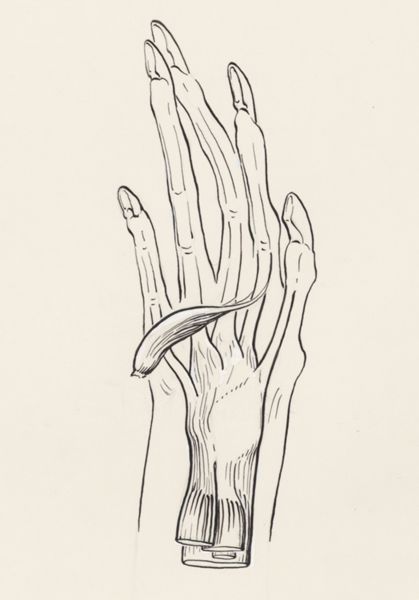 J Wetselaar-Whittaker, Musculoskeletal system of the upper extremity
