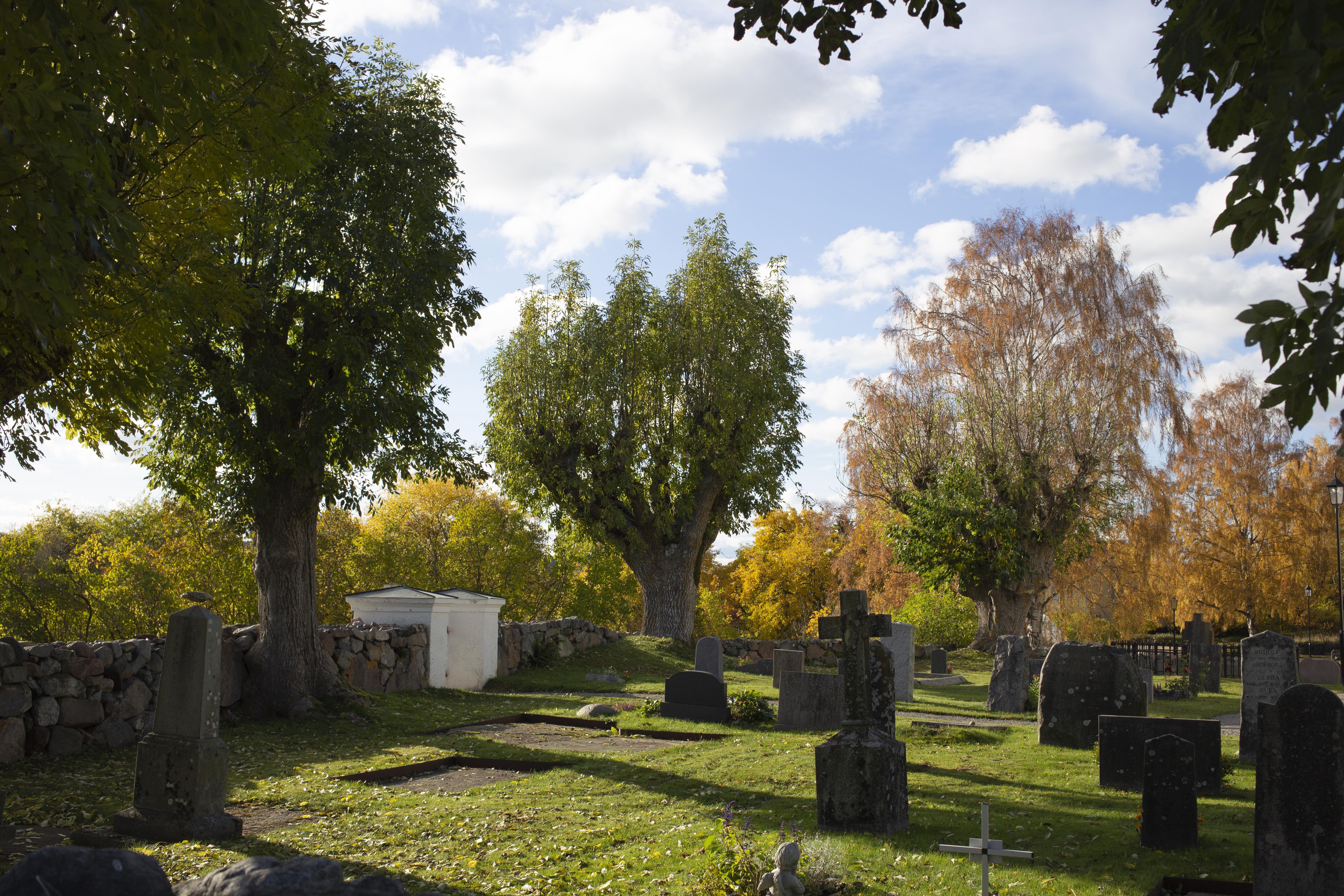 Leif Gren, Adelsö kyrka