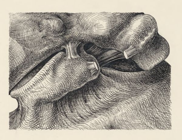 J Tinkelenberg, Musculoskeletal system of the lower extremity