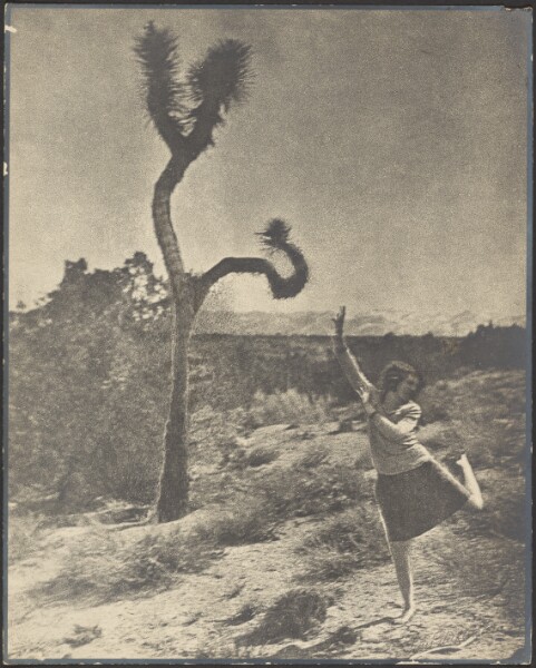 Louis Fleckenstein, The Corkscrew Twist