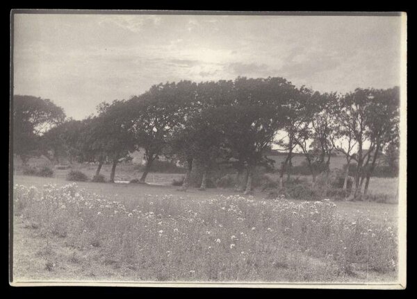 Gale, Lt. Col. Joseph, Landscape