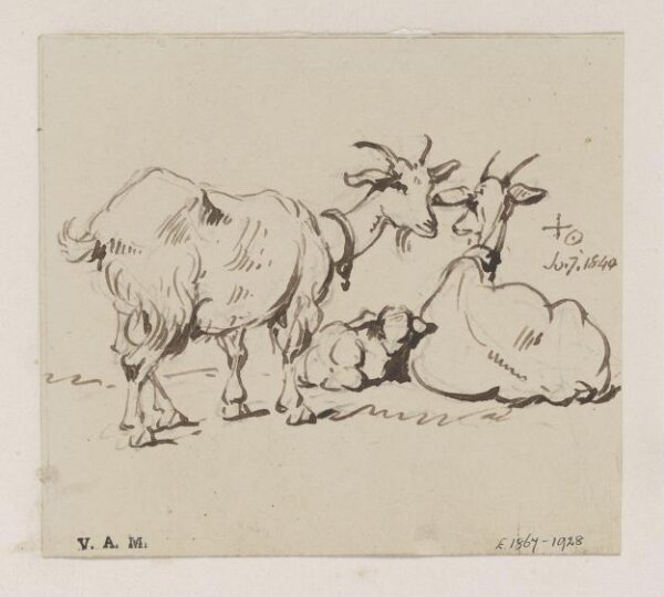 George Chinnery, Two goats and a kid