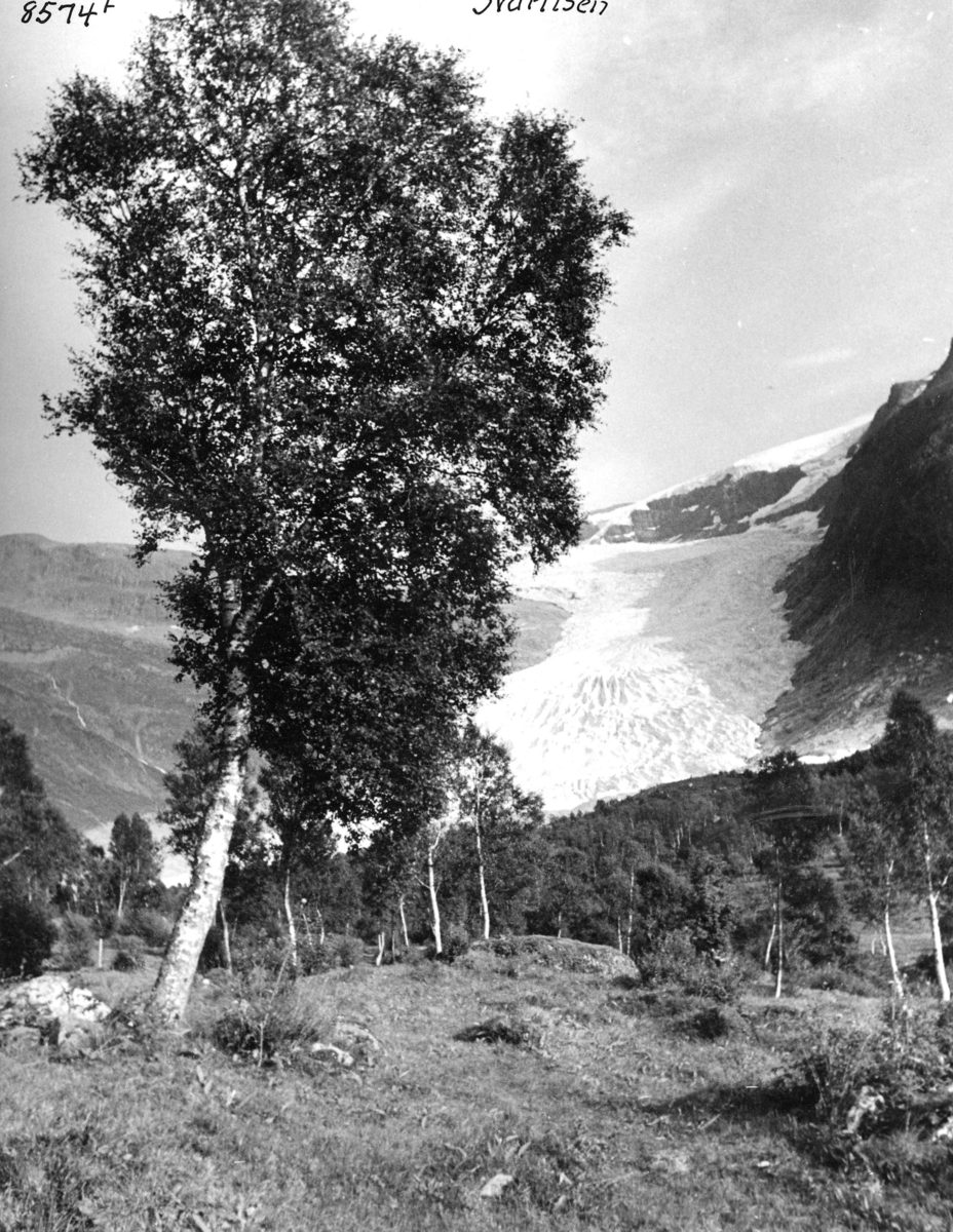 Anders Beer Wilse, Topografi