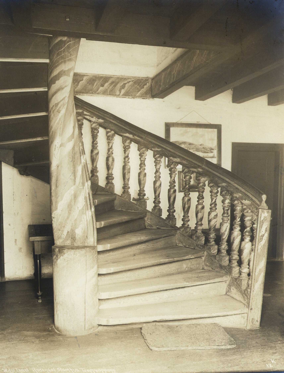 Anders Beer Wilse, Trappeoppgang, Baroniet Rosendal, Kvinnherad, Hordaland. Fotografert 1912.