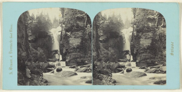 Adolphe Braun, Oberland Bernois. Cascade a Rosenlaui.