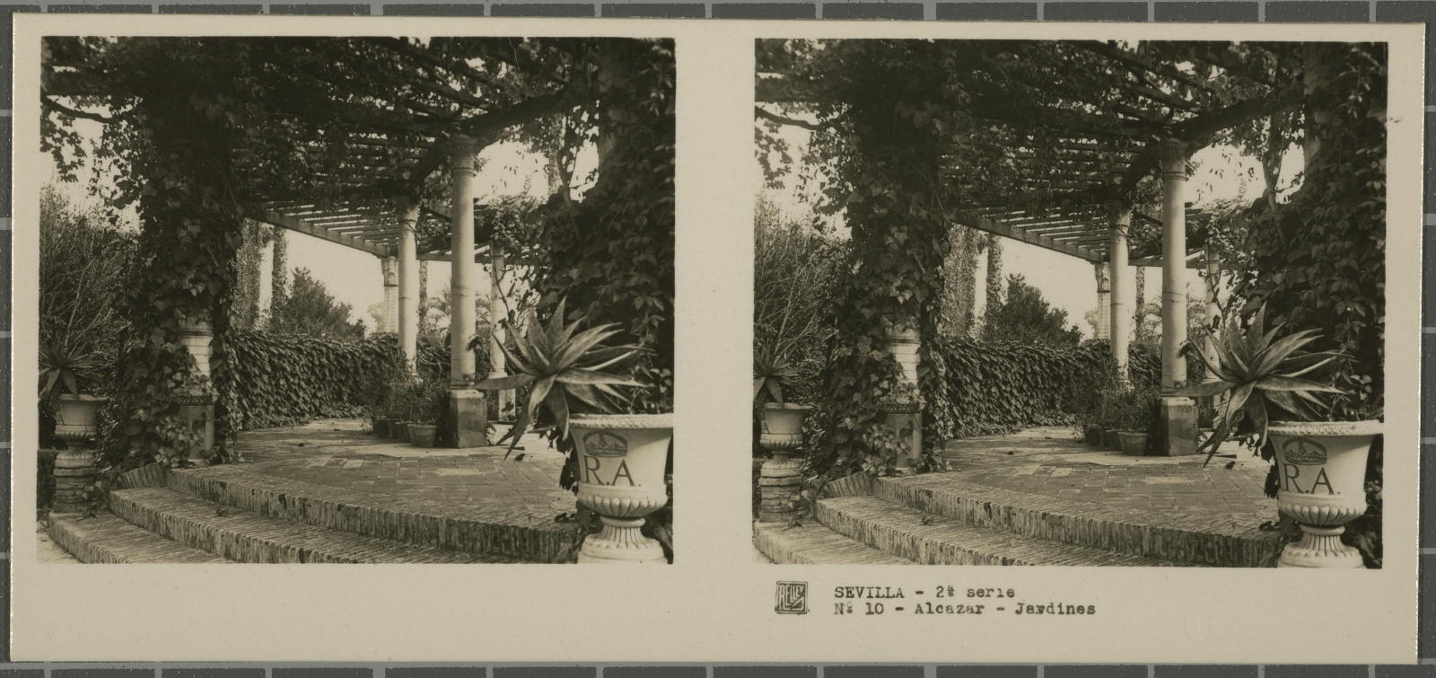 Desconegut, Seville