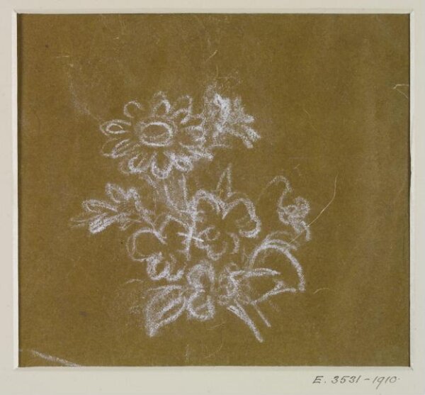 Unknown, Drawing