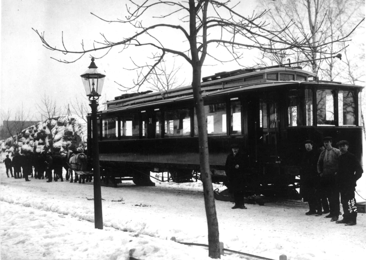 Anders Beer Wilse, Transport av Holmenkolltrikk