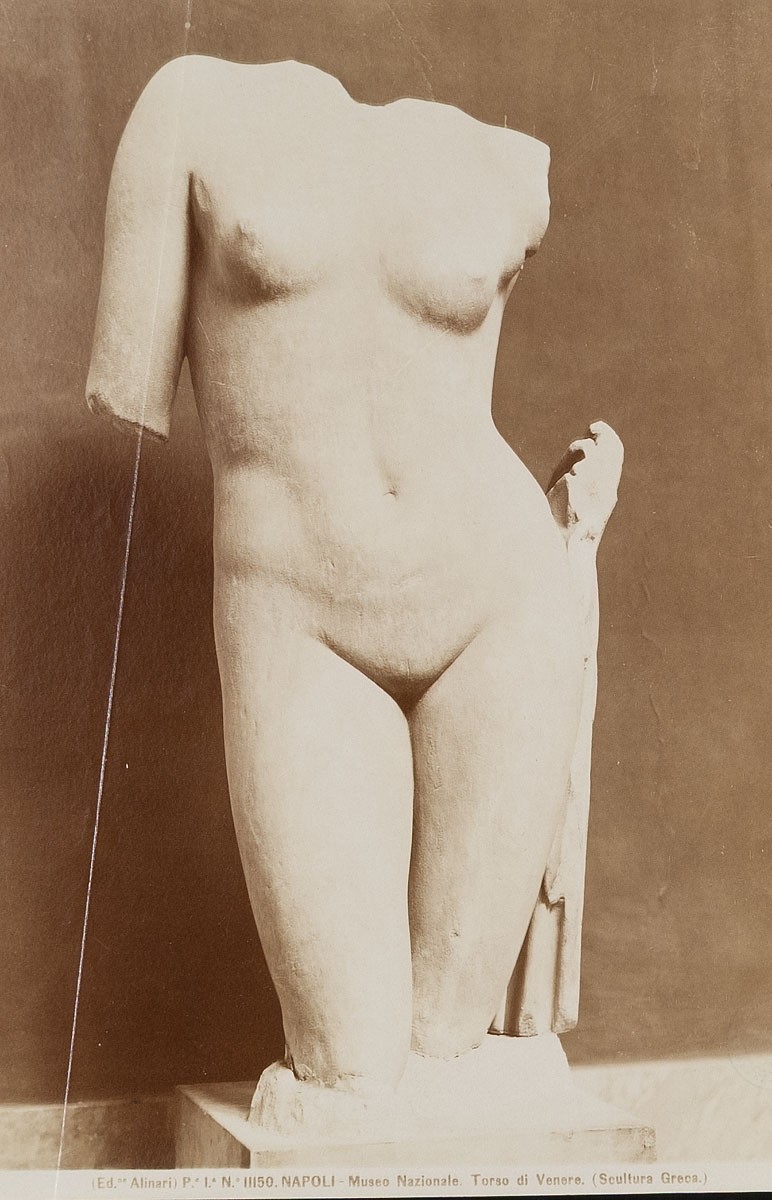 Fratelli Alinari, Torso der Venus, Museo Archeologico Nazionale, Neapel