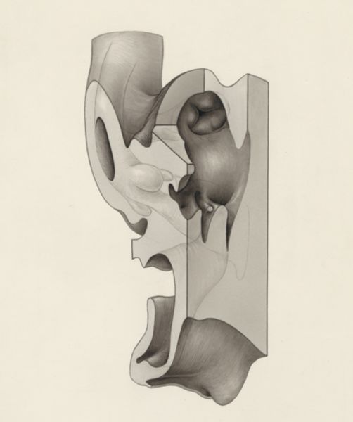 J Tinkelenberg, Embryonic heart