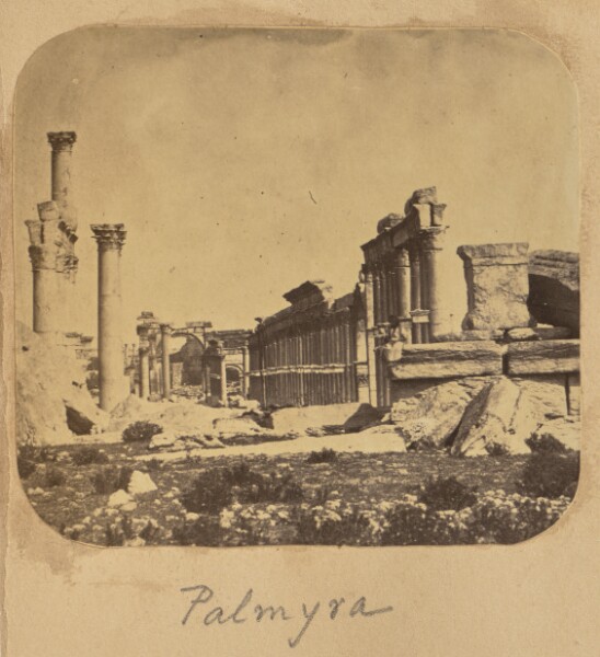 Unknown, Palmyra