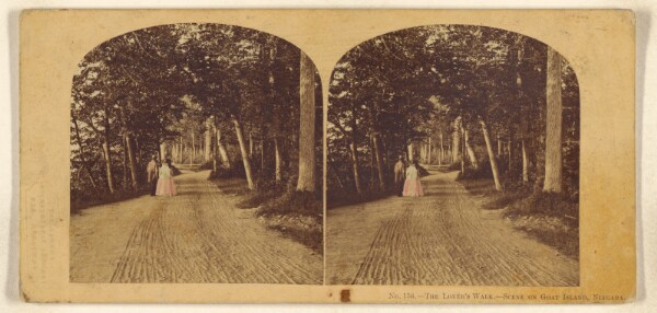 William England, The Lovers' Walk. Scene on Goat Island, Niagara.