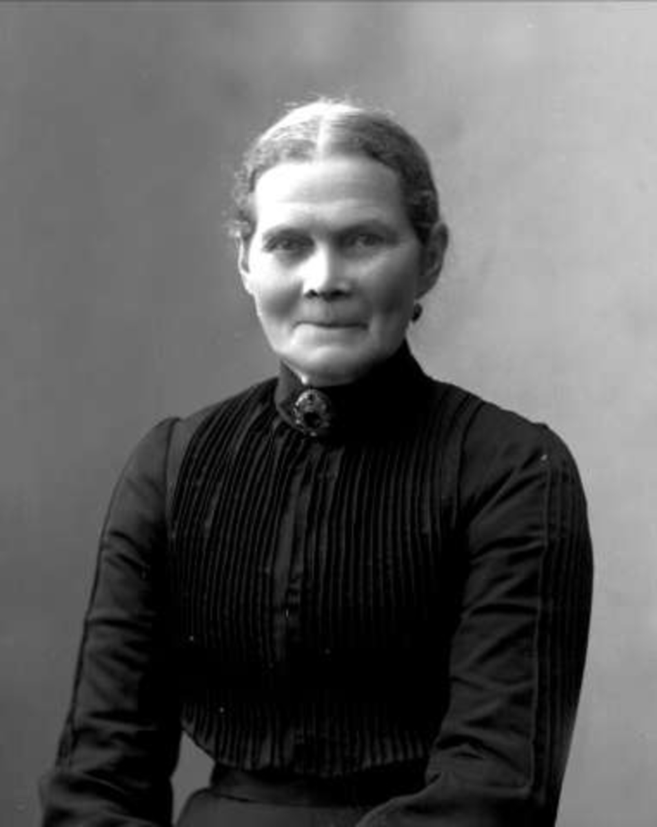 Gustav Borgen, NFB.00127