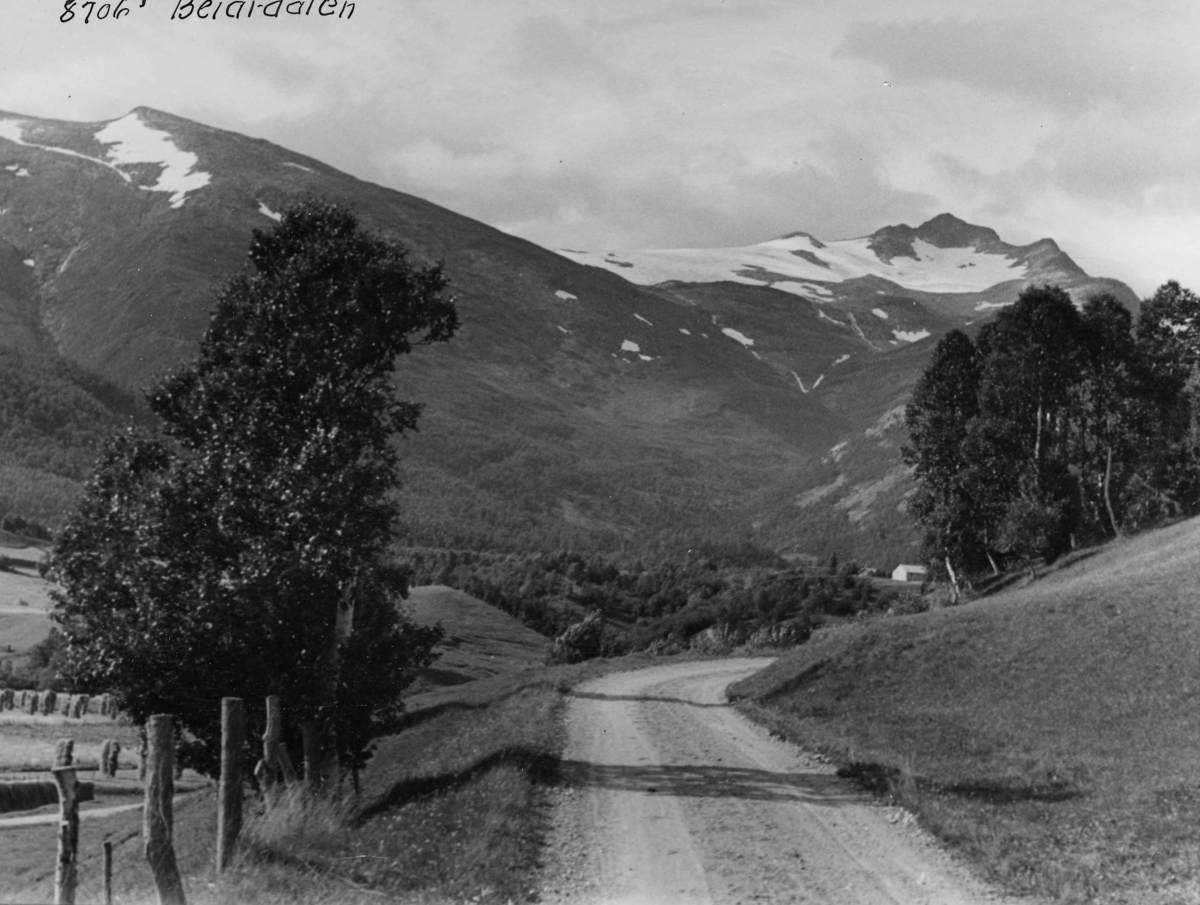 Anders Beer Wilse, Topografi