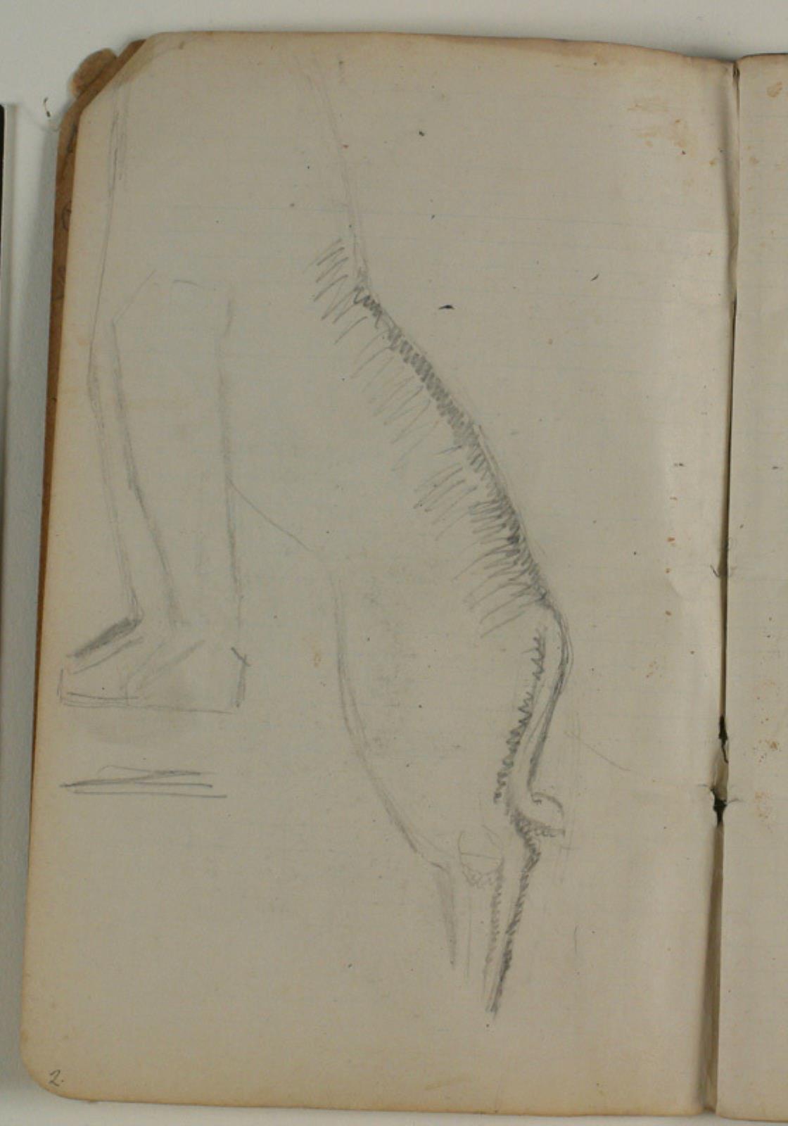 Niels Larsen Stevns, Skitse af dyrekrop (løve)