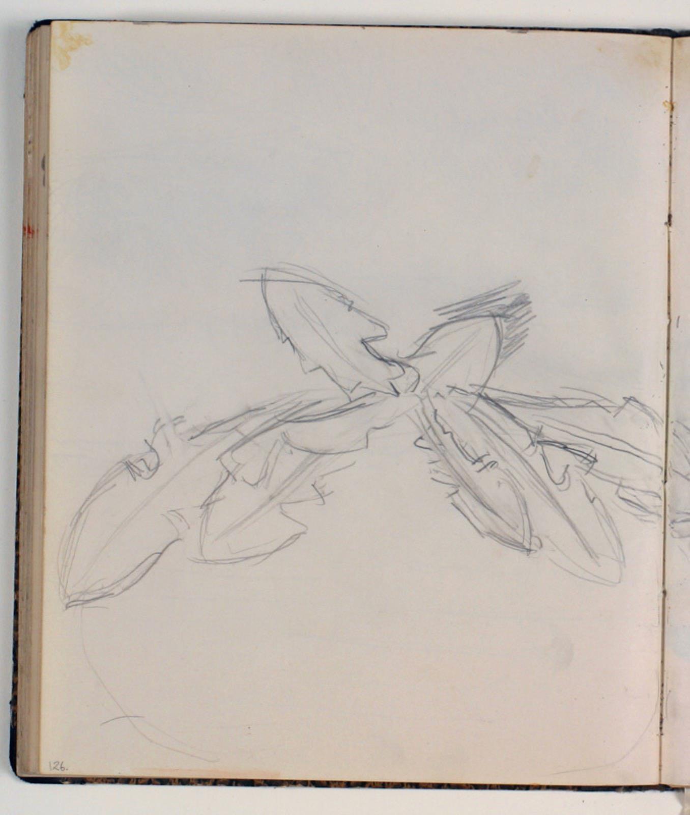 Niels Larsen Stevns, Plantestudie