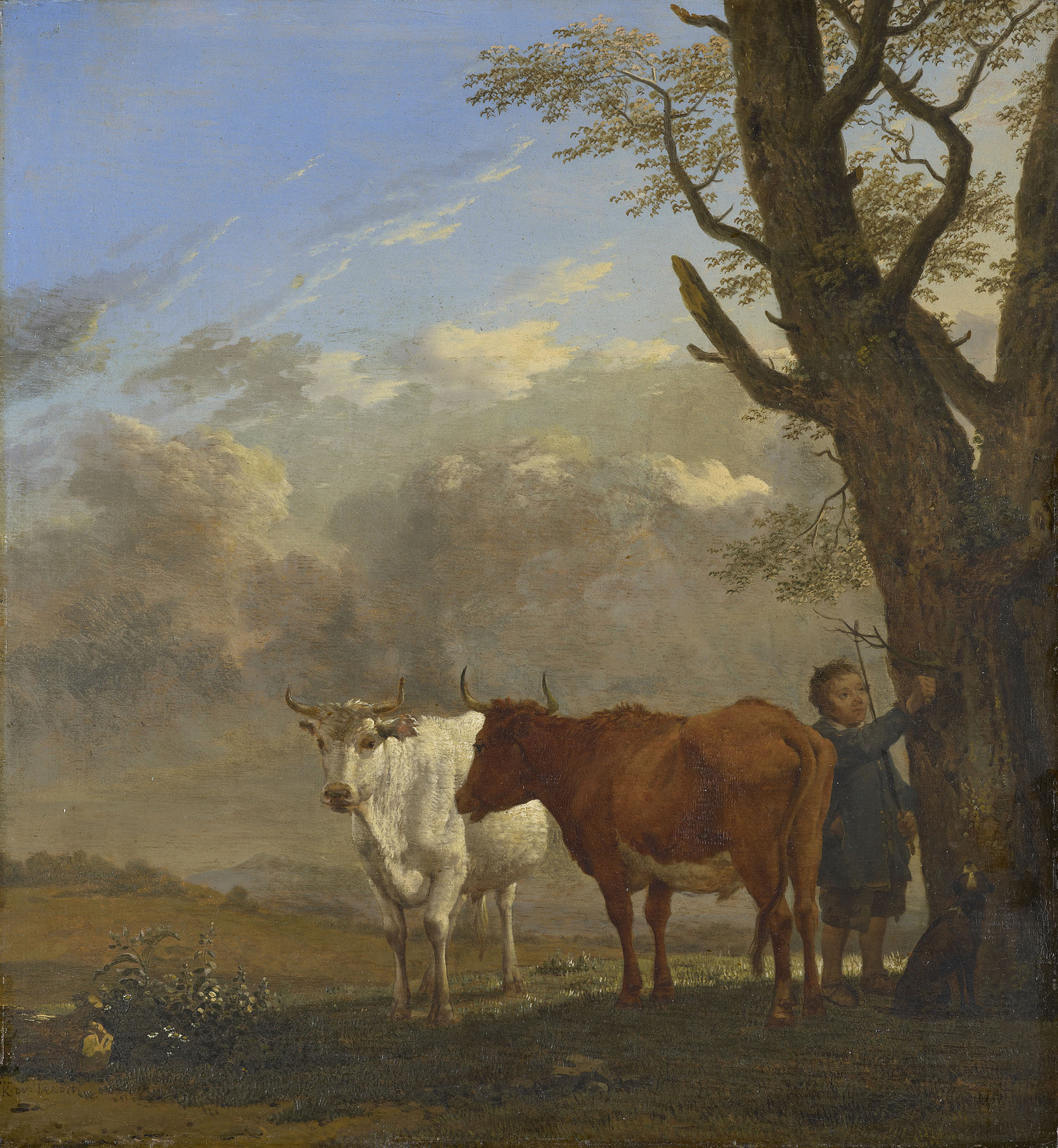 Karel Dujardin, Two Bullocks with a Boy Cutting a Twig