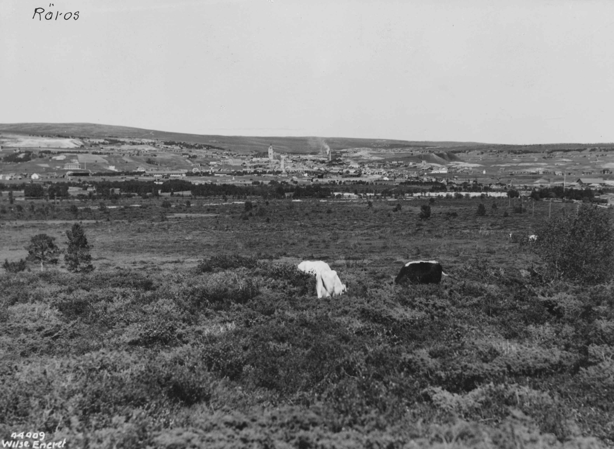 Anders Beer Wilse, Topografi
