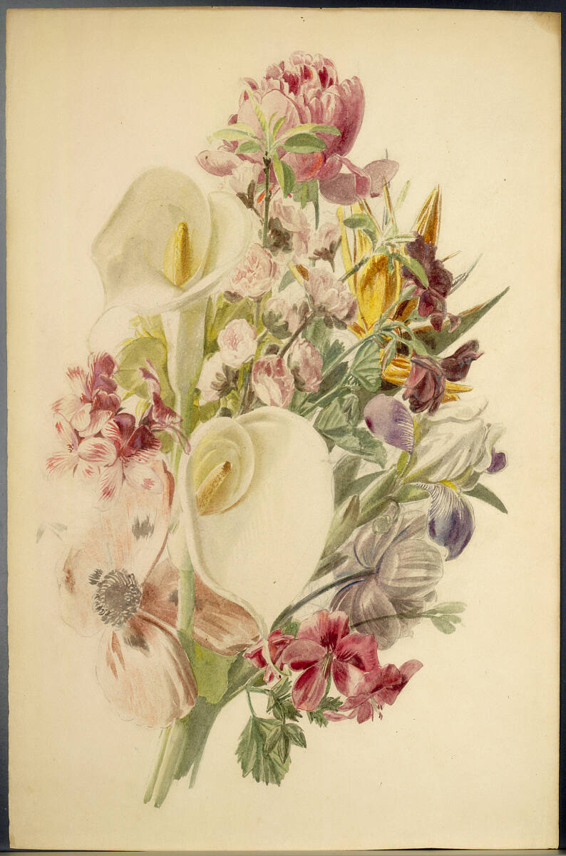 Anonym, Blumenstudie
