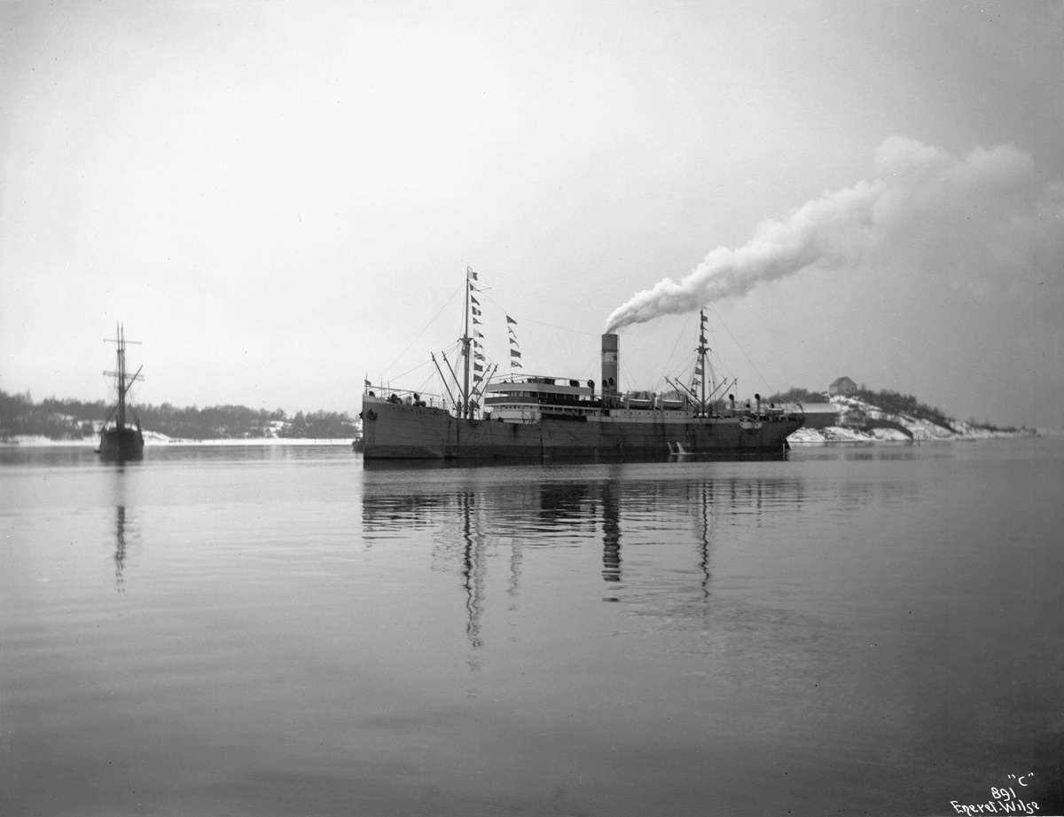 Anders Beer Wilse, D/S Mexicano (b. 1912, Sir James Laing & Sons Ltd., Sunderland)