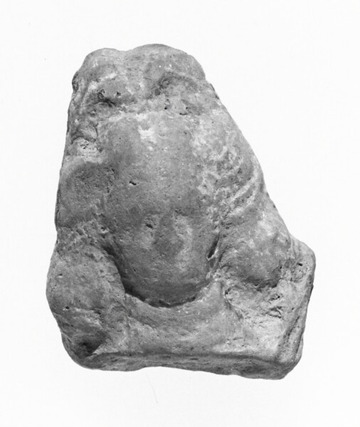 Unknown, Female Head