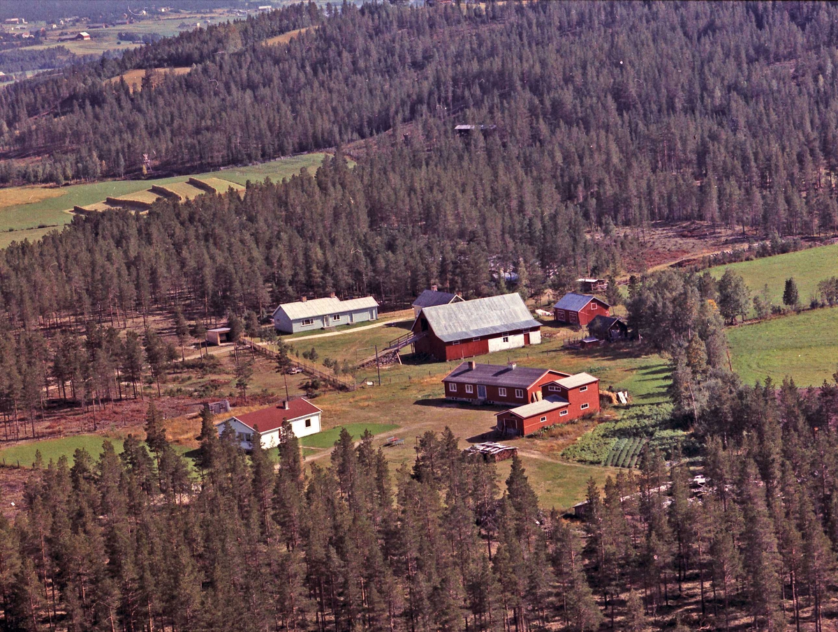 Widerøes Flyveselskap A/S, Gårdsbruk.