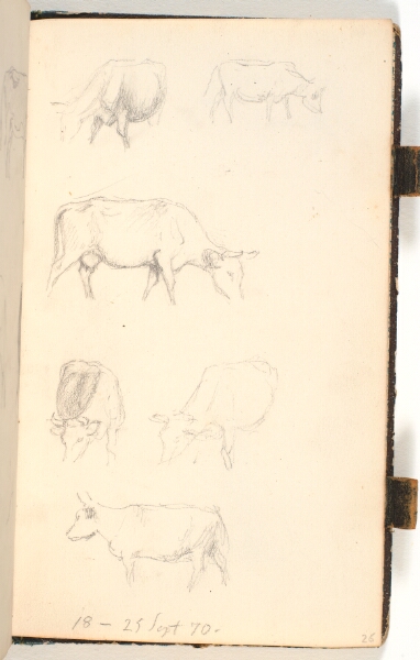 P.C. Skovgaard, Seks køer