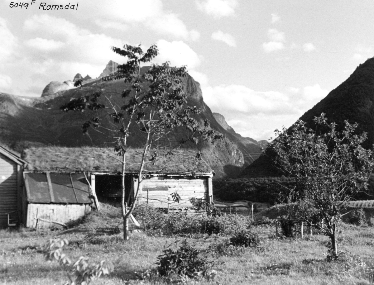 Anders Beer Wilse, Topografi