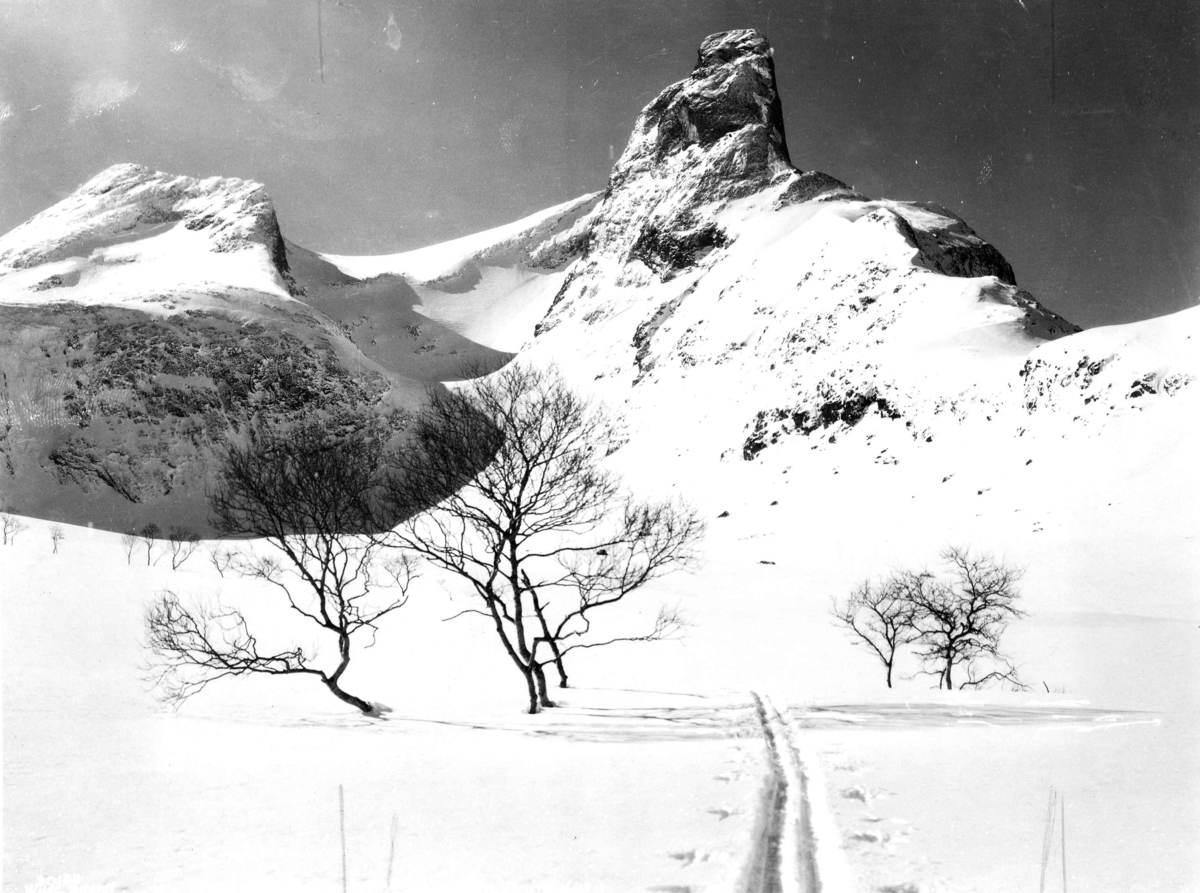 Anders Beer Wilse, Topografi